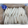 Wholesale Frozen Squid Gigas Tube U3 U5 U7